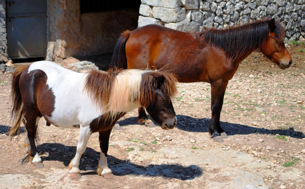 Villaggio Agrituristico Campanio Ferla Bagian luar foto